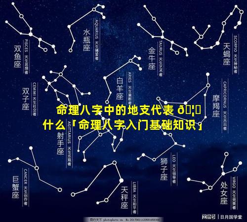 命理八字中的地支代表 🦄 什么「命理八字入门基础知识」